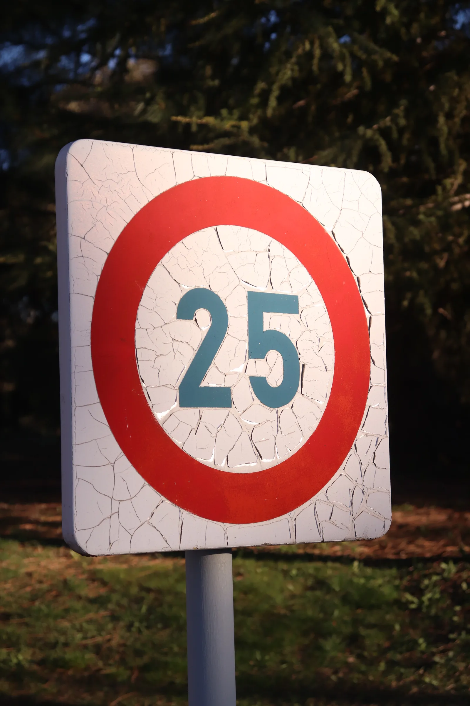 M25